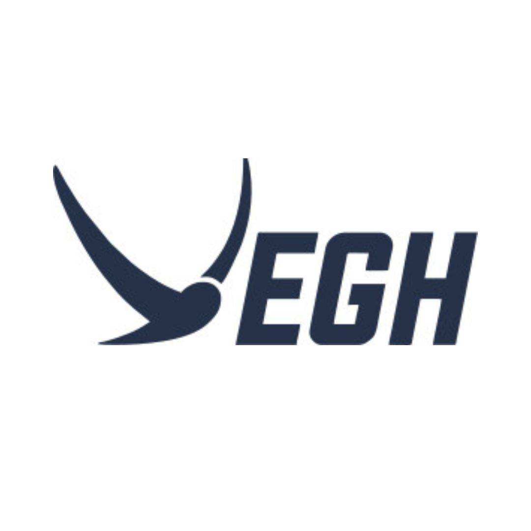 Vegh Automobiles